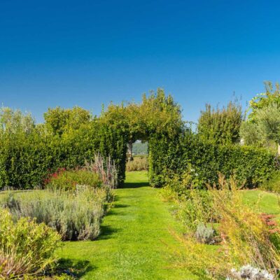 Un'esperienza sensoriale tra profumi e sapori: Tour nel Giardino delle Erbe Aromatiche e Officinali