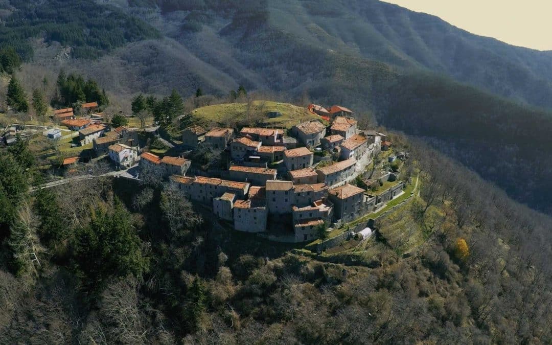 Anciolina
