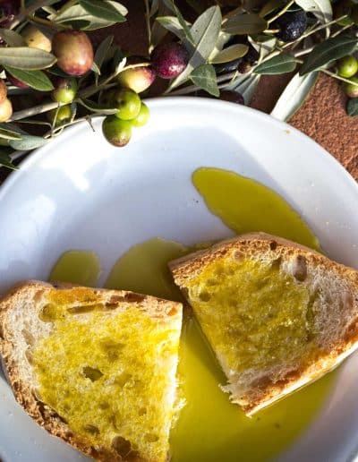 Aziende Agricole Loro Ciuffenna