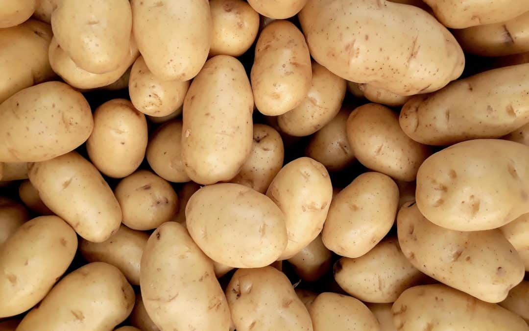 La patata del Pratomagno