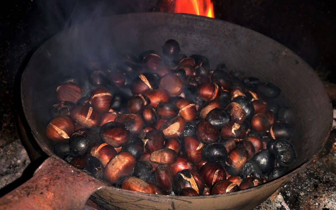 Castagna mondigiana del Pratomagno