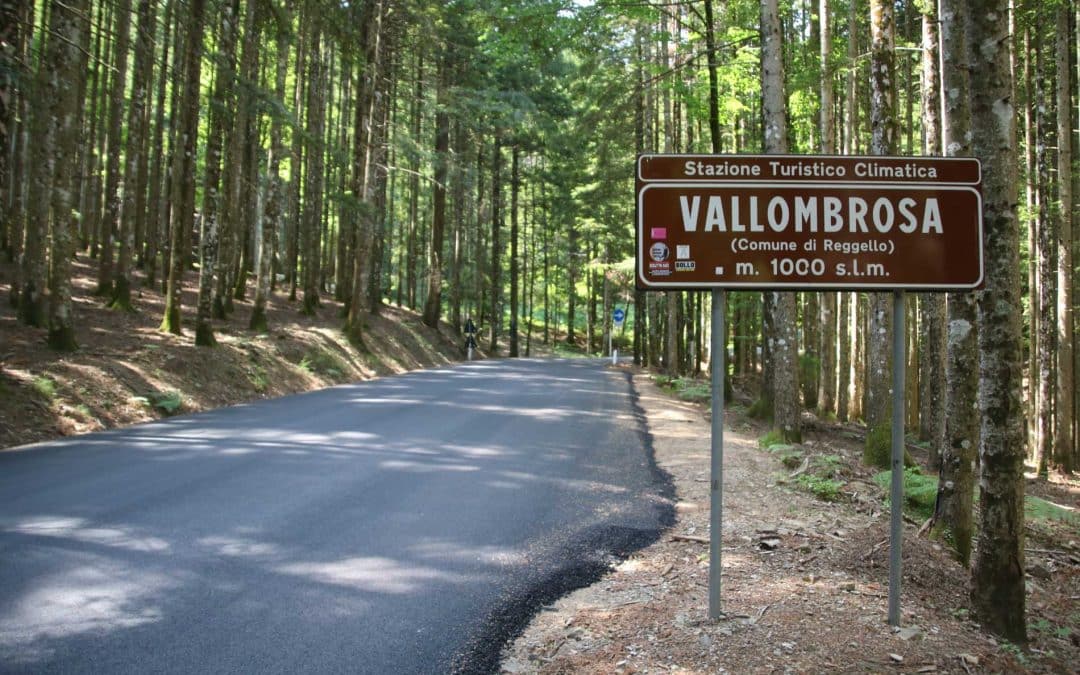 Vallombrosa